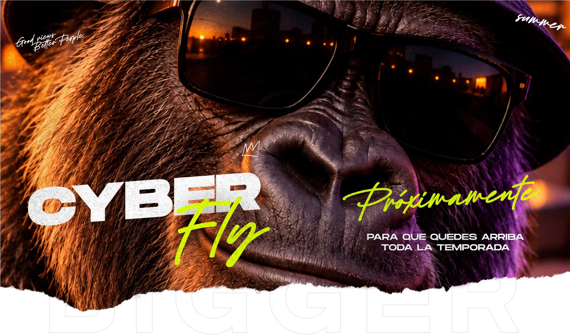 Cyber Fly