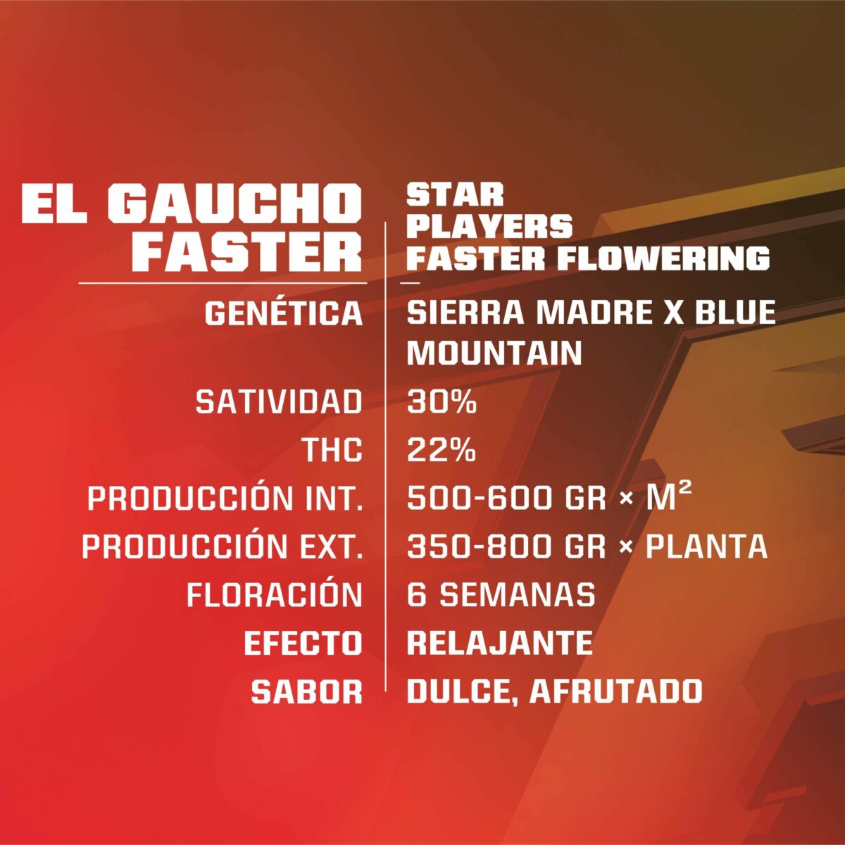 El Gaucho Faster Flowering - Imagen 2