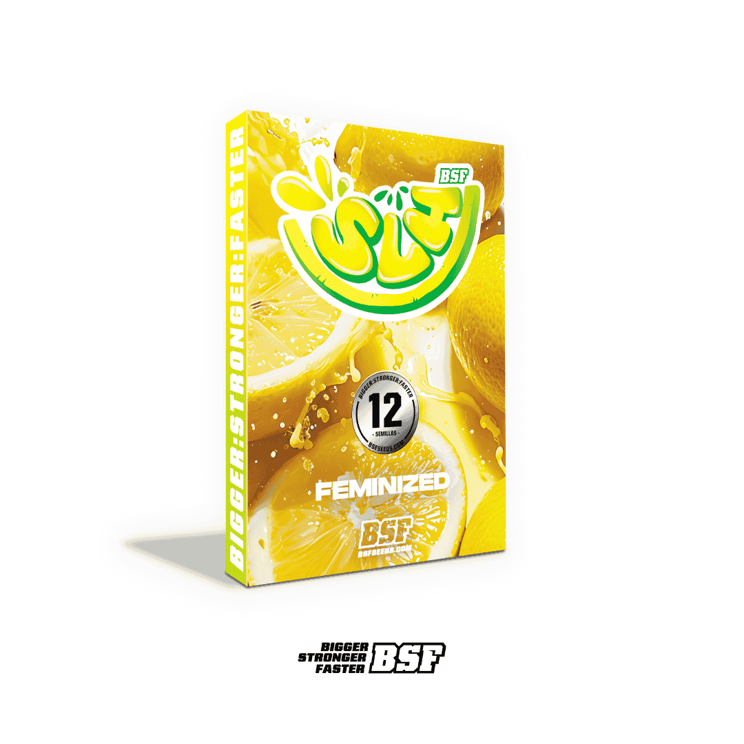 SLH - Super Lemon Haze - Imagen 4