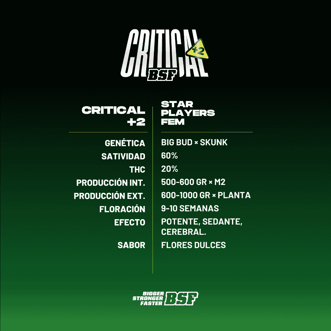 Critical + 2 Fem - Imagen 3