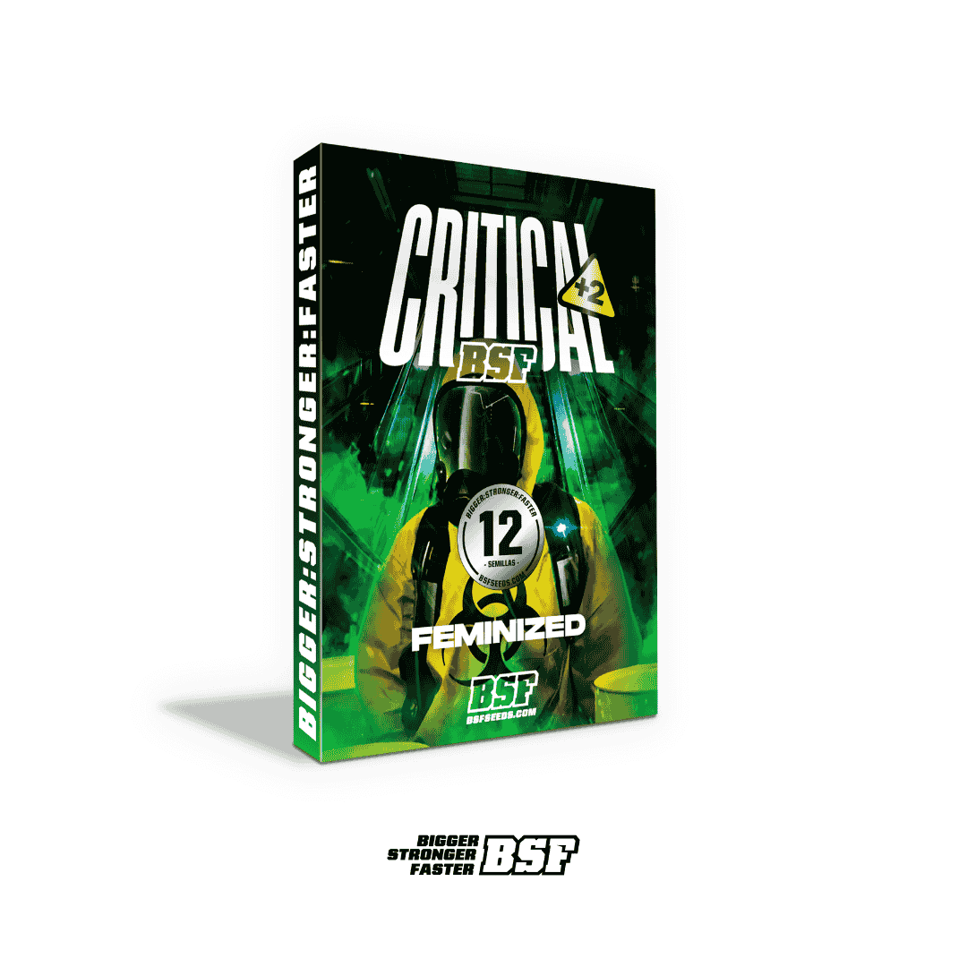 Critical + 2 Fem - Imagen 4
