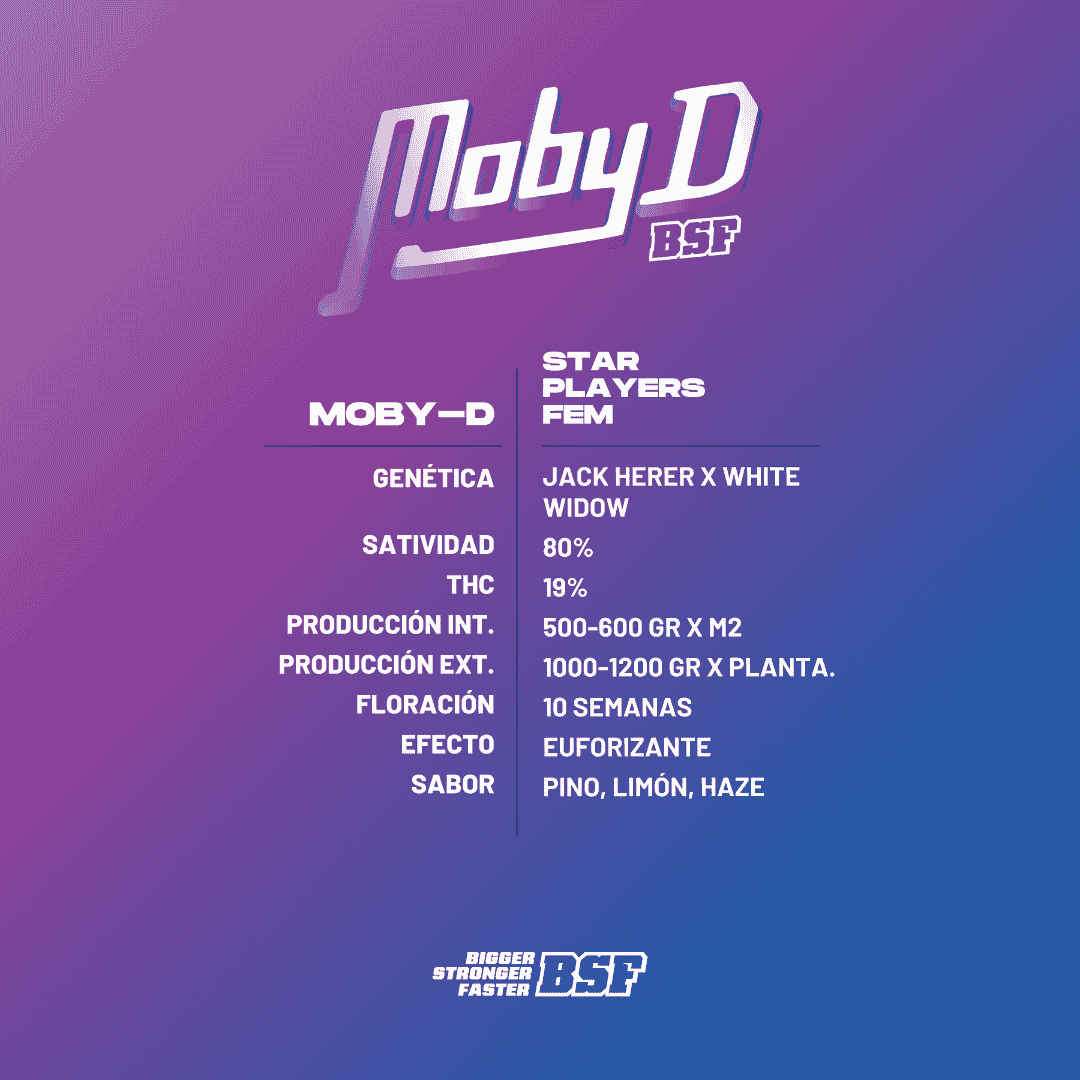 Moby-D Fem - Imagen 3