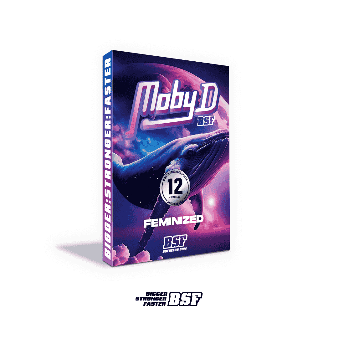 Moby-D Fem - Imagen 4