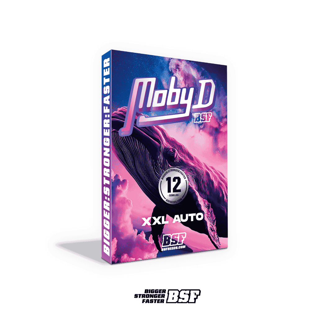 Moby-D XXL Auto - Imagen 4