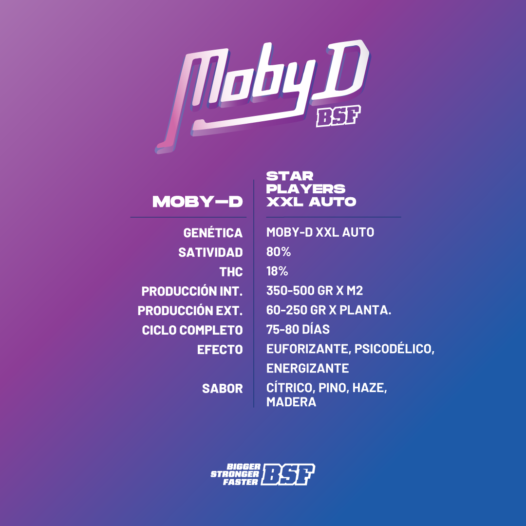 Moby-D XXL Auto - Imagen 3