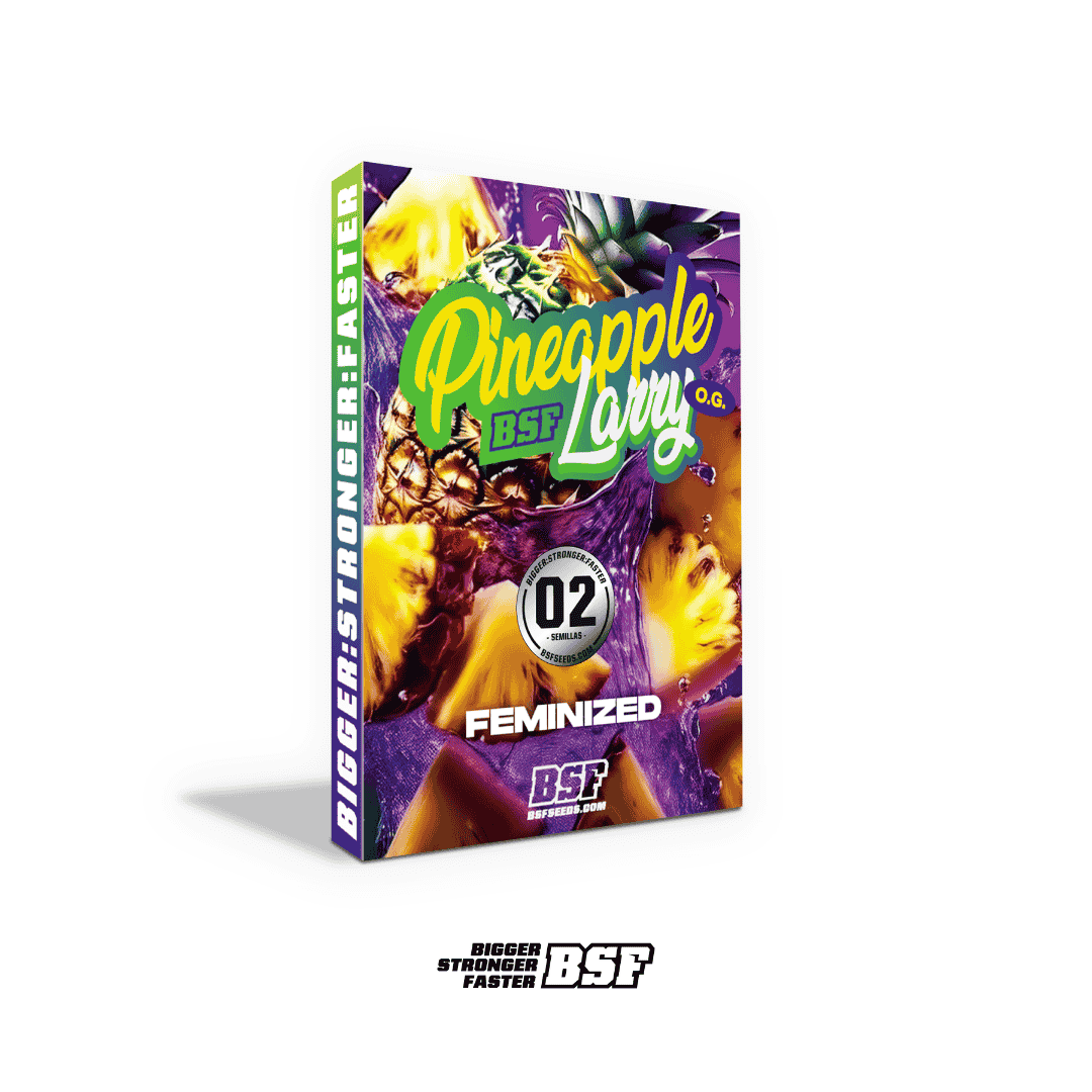 Pineapple Larry OG Fem - Imagen 4